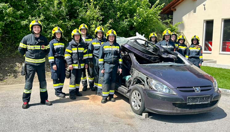 Teamwork makes the Dreamwork