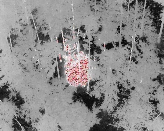 Drohneneinsatz bei Waldbrand in Thernberg