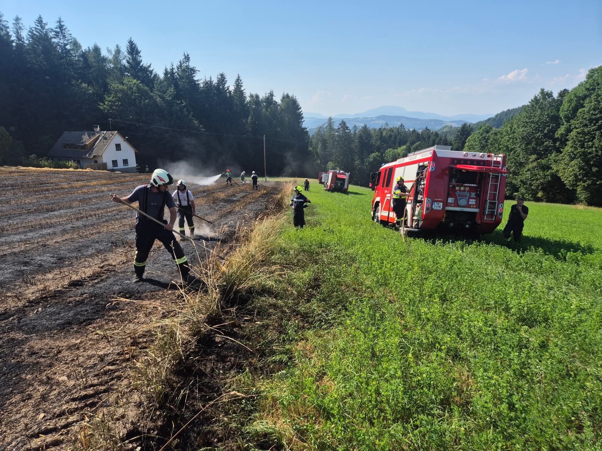 Feldbrand in Wiesfleck